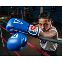 Боксерські рукавиці TITLE Classic Pro Style 3.0 Blue/White 14 oz