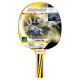 Ракетка для пінг-понгу Donic Top Teams 500