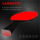 Ракетка для пінг-понгу Donic Carbotec 900