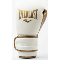 Боксерські рукавиці Everlast POWERLOCK 2R TRAINING GLOVE