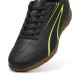 Футзалки Puma VITORIA IT