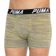 Труси-боксери Puma SPACEDYE STRIPE BOXER 2 пари