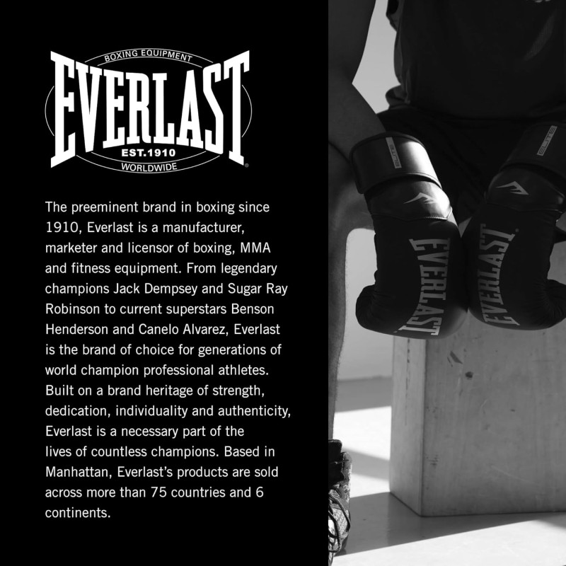 Боксерські рукавиці Everlast PROSTYLE 2 BOXING GLOVES