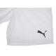 Шорти Puma teamRISE Short