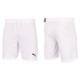 Шорти Puma teamRISE Short Jr