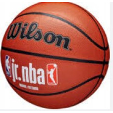 М'яч баскетбольний Wilson JR NBA FAM LOGO INDOOR OUTDOOR size 5
