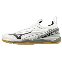 Кросівки MIZUNO WAVE MIRAGE 2.1