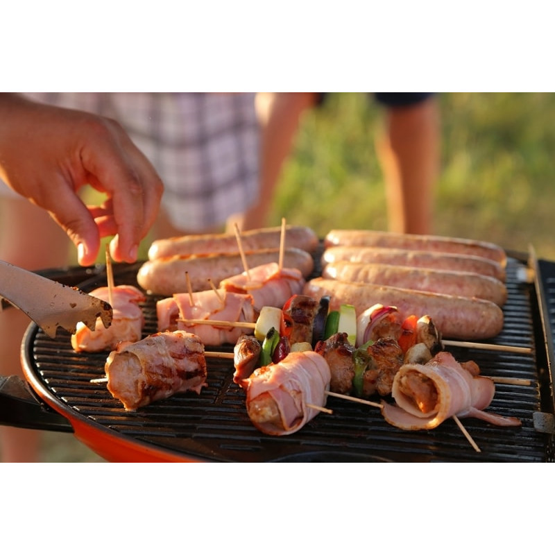Портативний переносний газовий гриль O-GRILL 500, помаранчевий Код: 008285