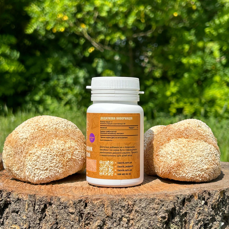 Екстракт Їжовика гребінчастого, мелений, "Лісовик", 50 грам