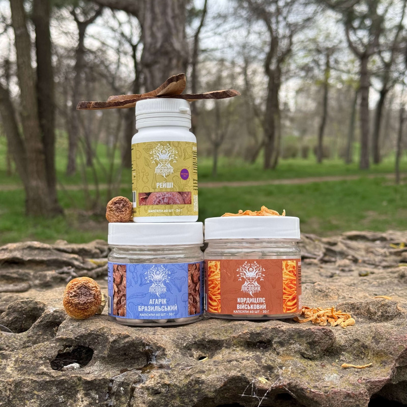 Курс Heart Power: Для сердечно-сосудистой системы (1 месяц), "Лесовик", 180 капсул