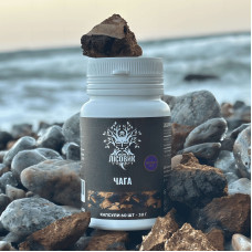 Чага березова, екстракт 10:1, "Лісовик", 60 капсул по 0.5 г