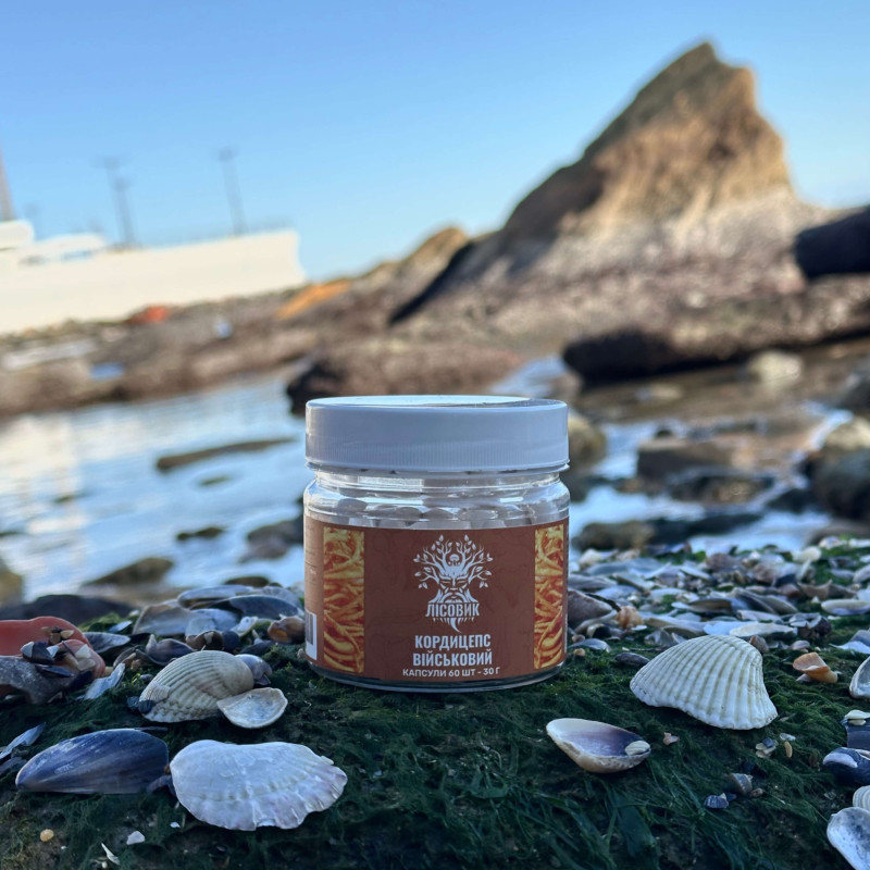 Кордицепс військовий, "Лісовик", 60 капсул по 0,5 г