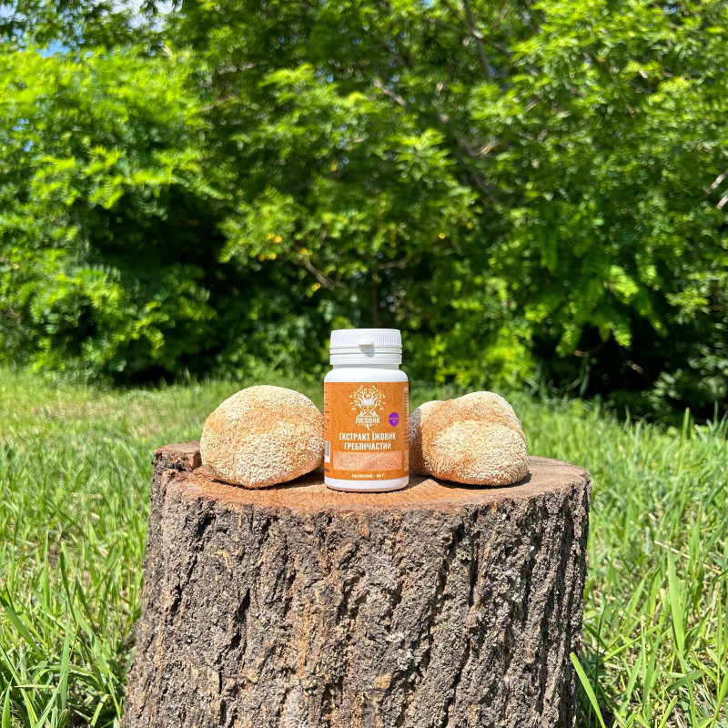 Екстракт Їжовика гребінчастого, мелений, "Лісовик", 50 грам