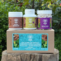 Курс Zen Mood: Для боротьби з тривожністю, апатією та депресією (2 місяці), "Лісовик", 360 капсул