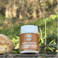 Ежовик гребенчатый, "Лесовик", 60 таблеток по 0,4 г