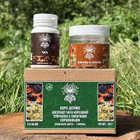 Курс Детокс: Чага, Тройчатка и Лисичка (1 месяц), "Лесовик", 120 капсул