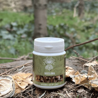 Весёлка обычная, "Лесовик", 60 таблетока по 0.4 г