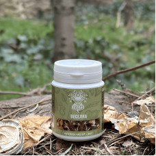 Весёлка обычная по 0.4 г, "Лесовик", 60 таблеток