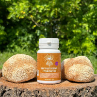 Екстракт Їжовика гребінчастого, мелений, "Лісовик", 50 грам