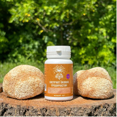 Екстракт Їжовика гребінчастого, мелений, "Лісовик", 50 грам