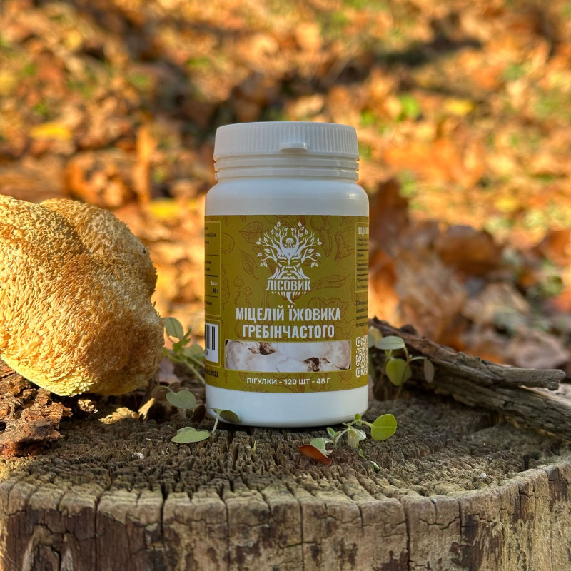 Міцелій їжовика гребінчастого, "Лісовик", 120 таблеток по 0,4 г
