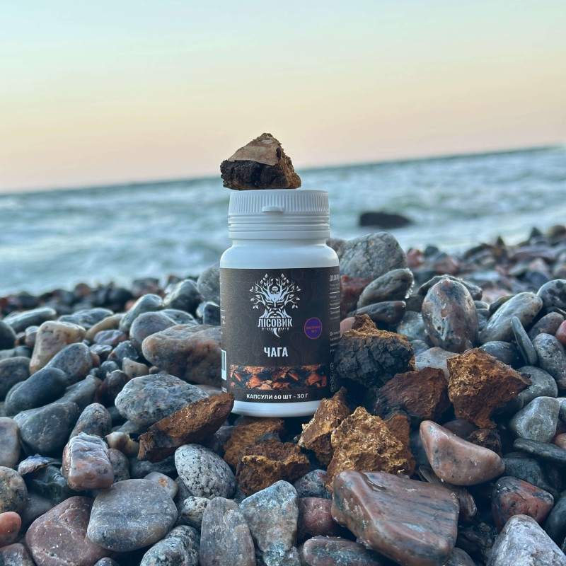 Чага березова, екстракт 10:1, "Лісовик", 60 капсул по 0.5 г