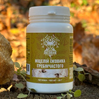 Міцелій їжовика гребінчастого, "Лісовик", 120 таблеток по 0,4 г