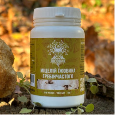 Міцелій їжовика гребінчастого, "Лісовик", 120 таблеток по 0,4 г