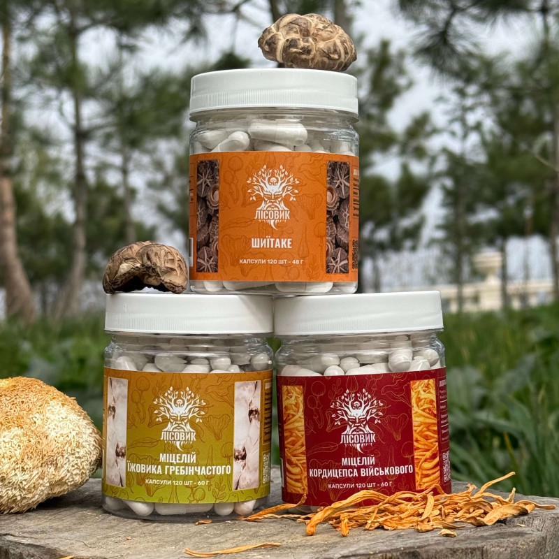 Курс Mind Boost v2: Для навчання та когнітивних функцій (2 місяці), "Лісовик", 360 капсул 