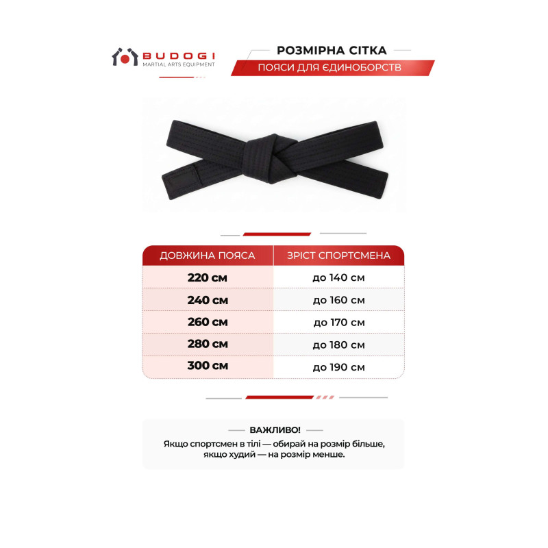 Синій пояс для дзюдо ТМ BUDOGI, серія PRO, довжина 320 см