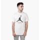 Футболка чоловіча Jordan Jumpman Flight Men's T-Shirt (AO0664-100)