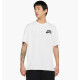 Футболка чоловіча Nike Sb Chino Shorts (DC7817-100)