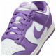 Кросівки жіночі Nike Dunk Low Next Nature (DD1873-108)