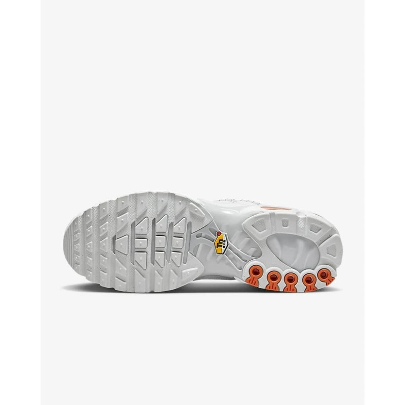 Кросівки чоловічі Nike Air Max Plus Tn (FJ4232-100)