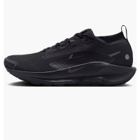 Кросівки для бігу чоловічі Nike Pegasus Trail 5 Gtx (FQ0908-002)