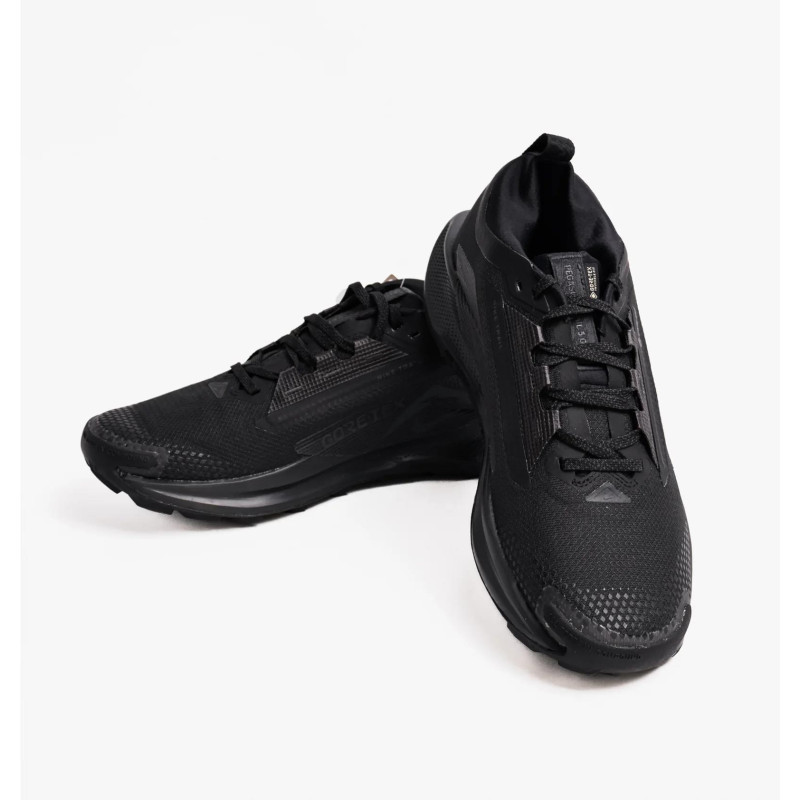Кросівки для бігу чоловічі Nike Pegasus Trail 5 Gtx (FQ0908-002)