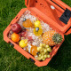 Туристичний холодильник Naturehike Whales-PRO PU CNK2650CF012, 17 л, помаранчевий