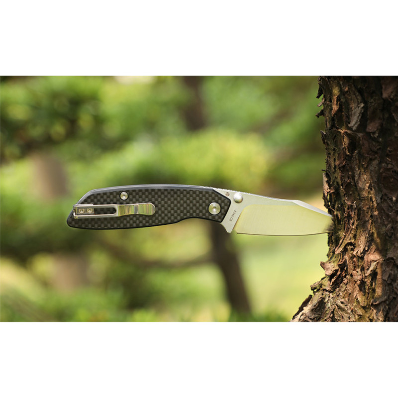Ніж складаний туристичний Ruike P746-CB, (8 см) 14C28N / G10 чорний