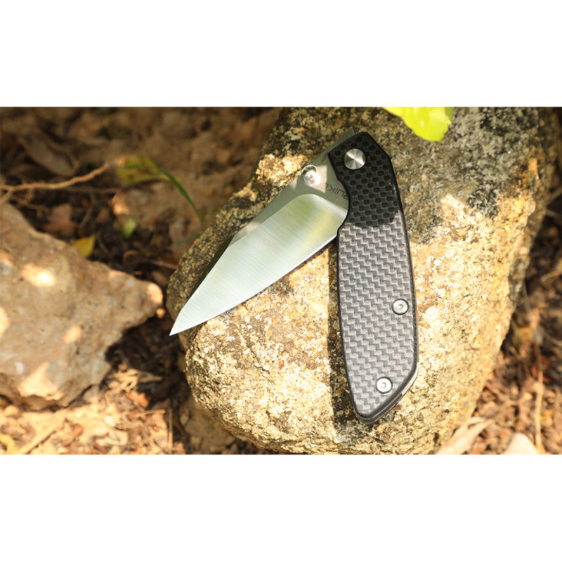 Ніж складаний туристичний Ruike P746-CB, (8 см) 14C28N / G10 чорний