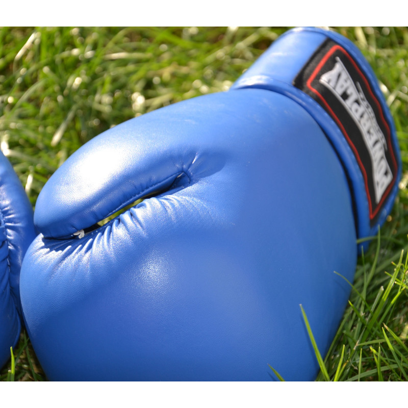 Боксерські рукавиці PowerPlay 3004 Classic Сині 10 унцій