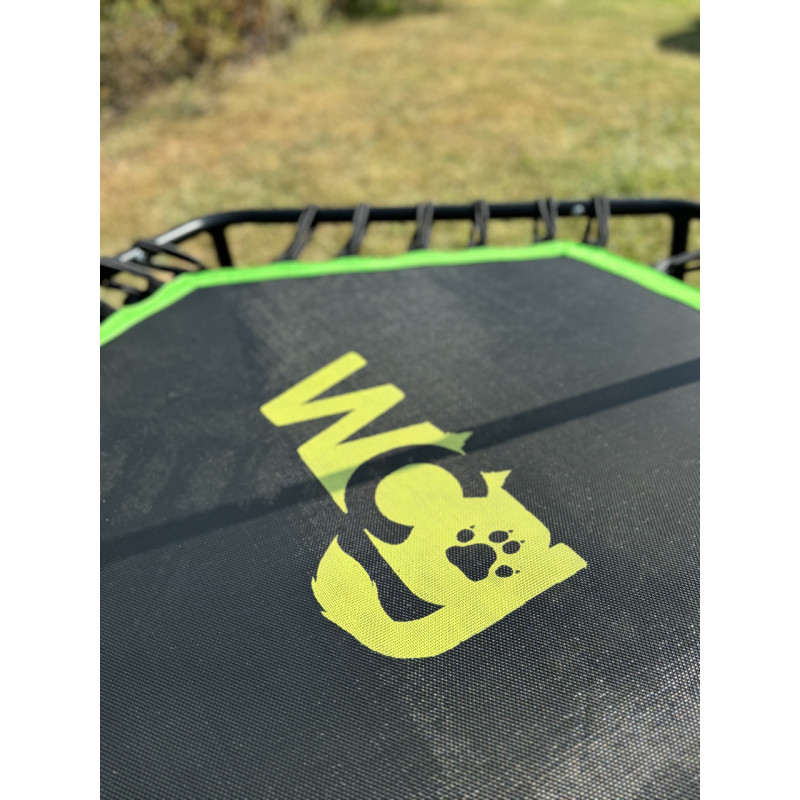 Фитнес-батут для тренировок с ручкой WCG Jumper