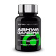Ашваганда, Ashwagandha, Scitec Nutrition, 60 капсул