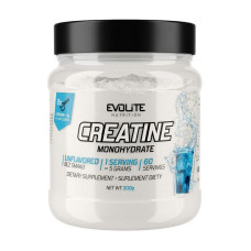 Креатин, Creatine Monohydrate, Evolite Nutrition, 300 г (Без вкуса)