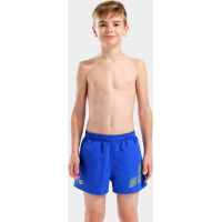 Шорти для плавання Arena BEACH SHORT LOGO R