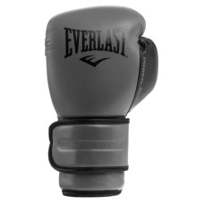 Боксерські рукавиці Everlast POWERLOCK 2R TRAINING GLOVE
