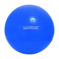 Фітбол LiveUp GYM BALL