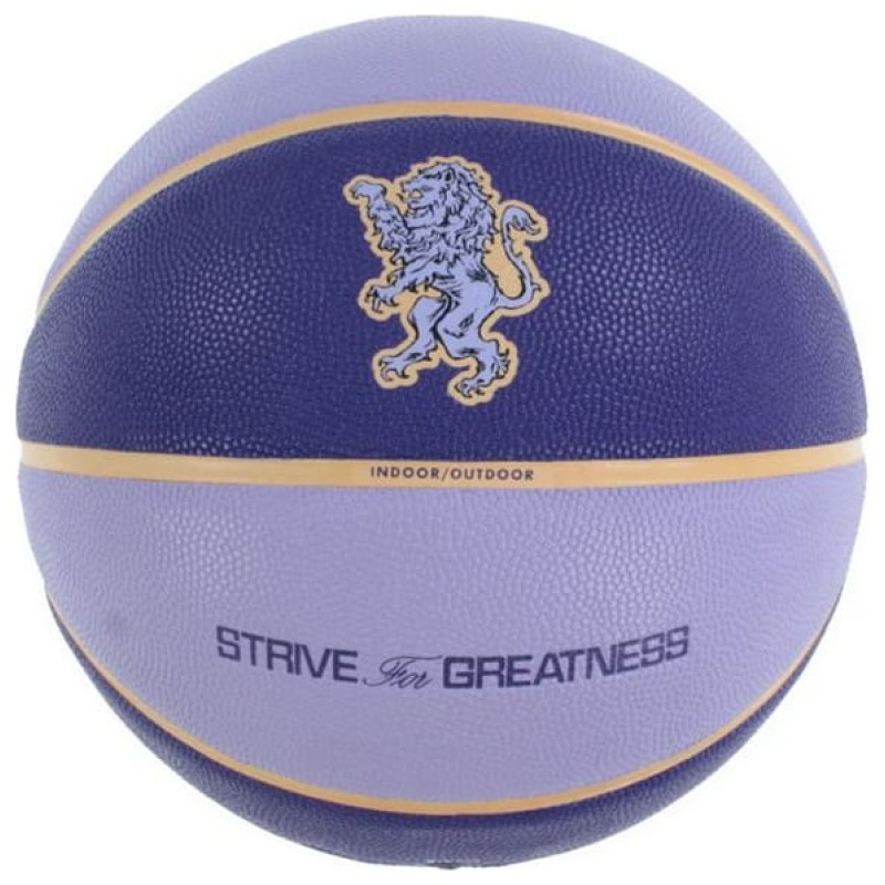 М'яч баскетбольний Nike ALL COURT 2.0 8P L JAMES DEFLATED