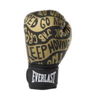 Боксерські рукавиці Everlast SPARK TRAINING GLOVES