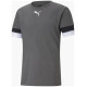 Футболка Puma teamRISE Jersey сірий Чол XXXL