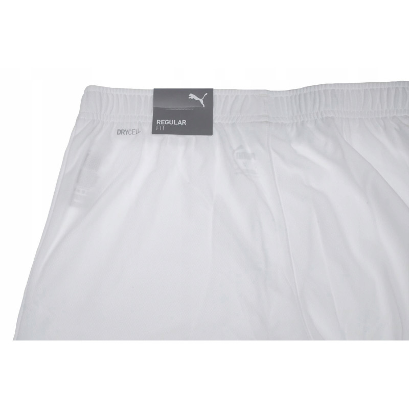 Шорти Puma teamRISE Short